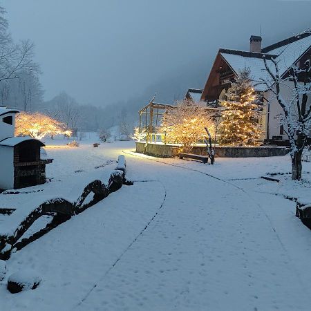 Pensiunea Doina Vadu Izei Exterior foto