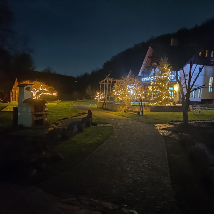 Pensiunea Doina Vadu Izei Exterior foto